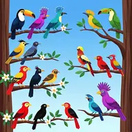 Birds Sort Color Match Puzzle